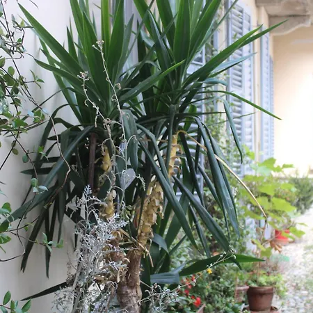 Dimora Boezio7, Cozy And Charming Place In Center With Private Parking Holiday home Pavia
